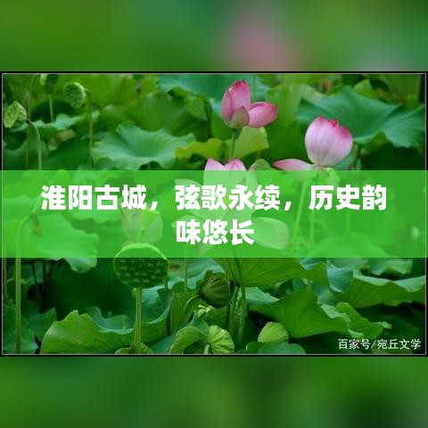 淮陽古城，弦歌永續(xù)，歷史韻味悠長