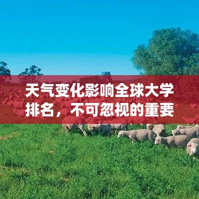 天氣變化影響全球大學(xué)排名，不可忽視的重要因素！