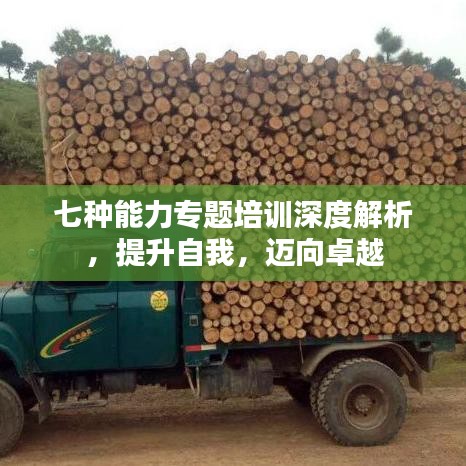 七種能力專題培訓(xùn)深度解析，提升自我，邁向卓越