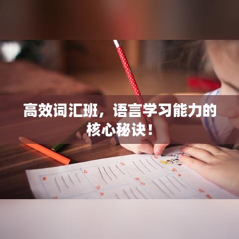高效詞匯班，語言學習能力的核心秘訣！