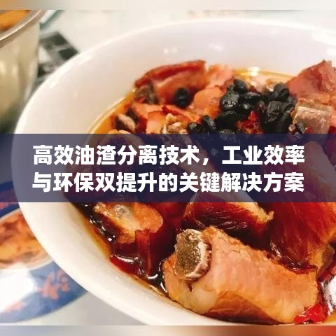 高效油渣分離技術(shù)，工業(yè)效率與環(huán)保雙提升的關(guān)鍵解決方案