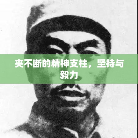夾不斷的精神支柱，堅持與毅力