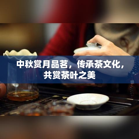 中秋賞月品茗，傳承茶文化，共賞茶葉之美