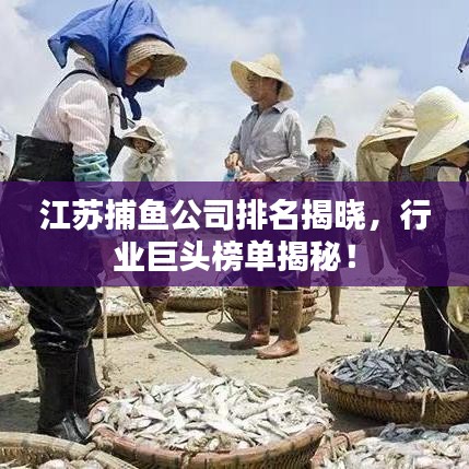 江蘇捕魚公司排名揭曉，行業(yè)巨頭榜單揭秘！