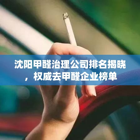 沈陽甲醛治理公司排名揭曉，權威去甲醛企業(yè)榜單