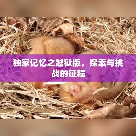 獨(dú)家記憶之越獄版，探索與挑戰(zhàn)的征程