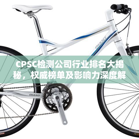 CPSC檢測公司行業(yè)排名大揭秘，權(quán)威榜單及影響力深度解析
