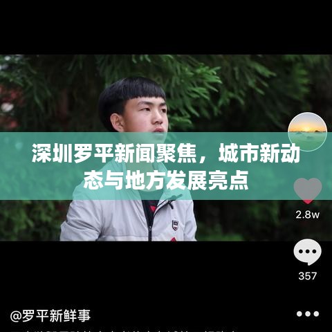 深圳羅平新聞聚焦，城市新動態(tài)與地方發(fā)展亮點