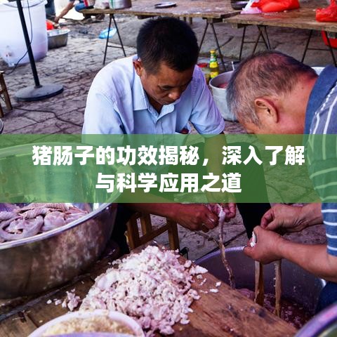 筆走如飛