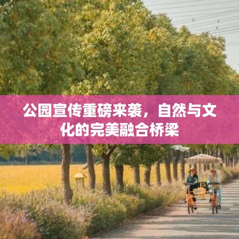 公園宣傳重磅來襲，自然與文化的完美融合橋梁