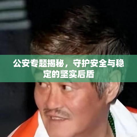 公安專題揭秘，守護安全與穩(wěn)定的堅實后盾