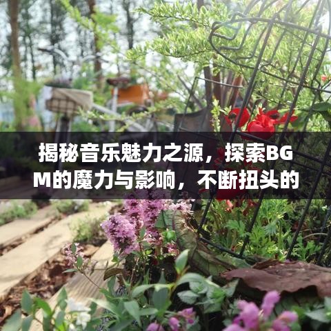 揭秘音樂(lè)魅力之源，探索BGM的魔力與影響，不斷扭頭的韻律震撼