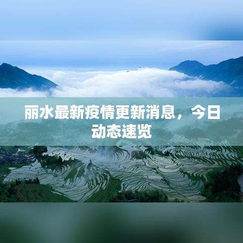 麗水最新疫情更新消息，今日動態(tài)速覽