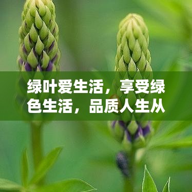 綠葉愛生活，享受綠色生活，品質(zhì)人生從這里開始！
