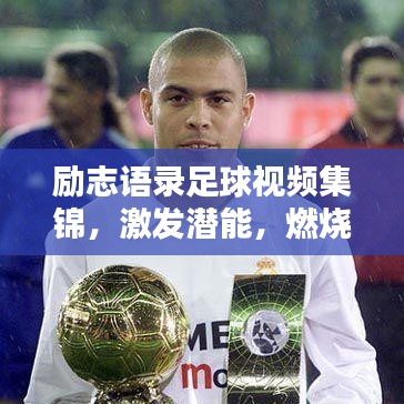 勵志語錄足球視頻集錦，激發(fā)潛能，燃燒激情！