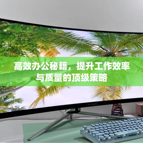 高效辦公秘籍，提升工作效率與質(zhì)量的頂級策略