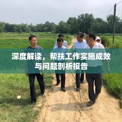 深度解讀，幫扶工作實(shí)施成效與問題剖析報告