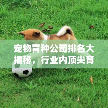 寵物育種公司排名大揭秘，行業(yè)內(nèi)頂尖育種企業(yè)榜單！