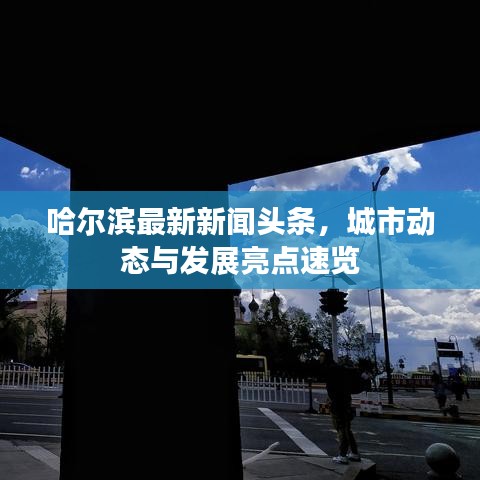 哈爾濱最新新聞頭條，城市動態(tài)與發(fā)展亮點速覽