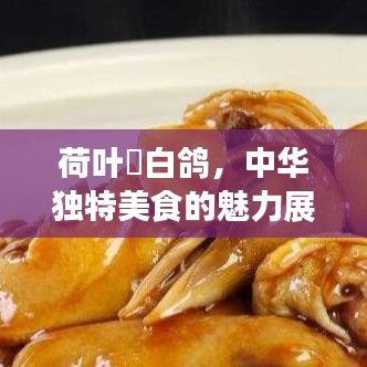 荷葉焗白鴿，中華獨(dú)特美食的魅力展現(xiàn)