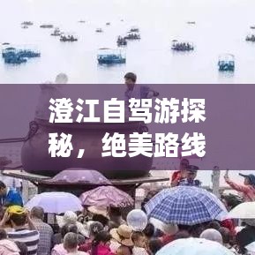 澄江自駕游探秘，絕美路線一網(wǎng)打盡！