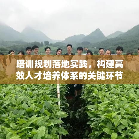 培訓(xùn)規(guī)劃落地實(shí)踐，構(gòu)建高效人才培養(yǎng)體系的關(guān)鍵環(huán)節(jié)