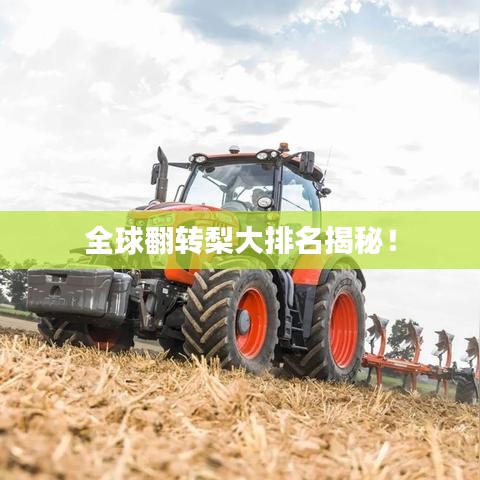 全球翻轉(zhuǎn)梨大排名揭秘！