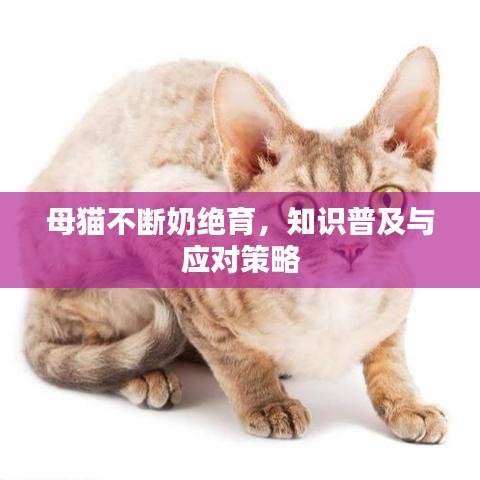 無影無蹤