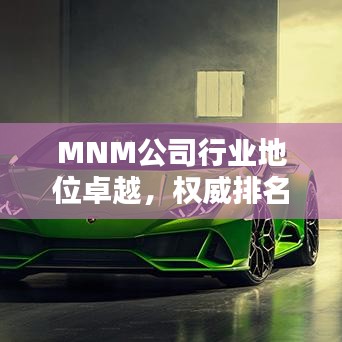 MNM公司行業(yè)地位卓越，權(quán)威排名揭曉！