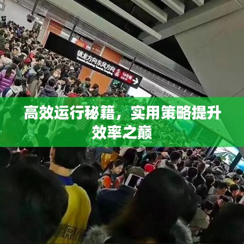 高效運(yùn)行秘籍，實(shí)用策略提升效率之巔