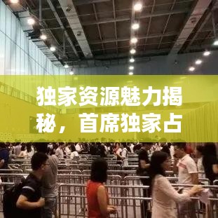 獨家資源魅力揭秘，首席獨家占有下載全攻略