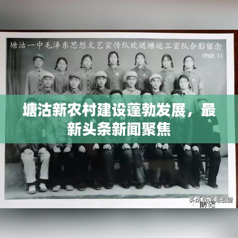 塘沽新農(nóng)村建設(shè)蓬勃發(fā)展，最新頭條新聞聚焦