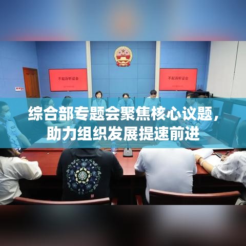 綜合部專題會(huì)聚焦核心議題，助力組織發(fā)展提速前進(jìn)