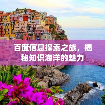 百度信息探索之旅，揭秘知識(shí)海洋的魅力