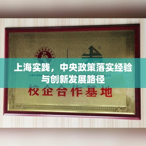 上海實踐，中央政策落實經(jīng)驗與創(chuàng)新發(fā)展路徑