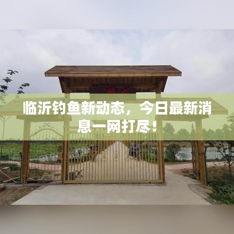 臨沂釣魚(yú)新動(dòng)態(tài)，今日最新消息一網(wǎng)打盡！