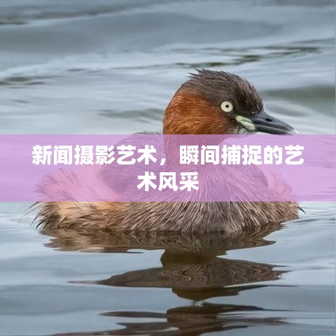 新聞攝影藝術(shù)，瞬間捕捉的藝術(shù)風(fēng)采