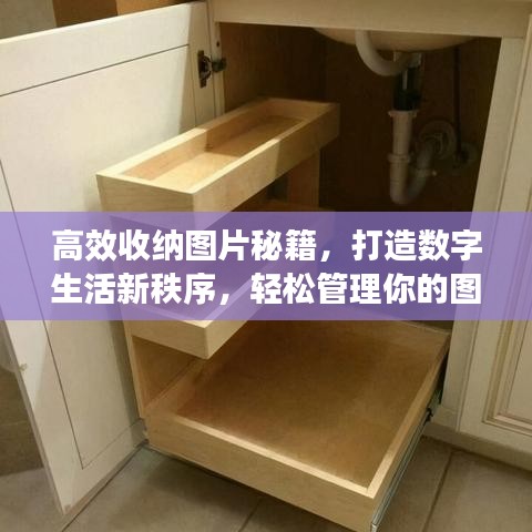 高效收納圖片秘籍，打造數(shù)字生活新秩序，輕松管理你的圖片世界！