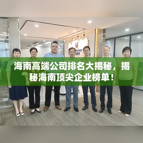 海南高端公司排名大揭秘，揭秘海南頂尖企業(yè)榜單！