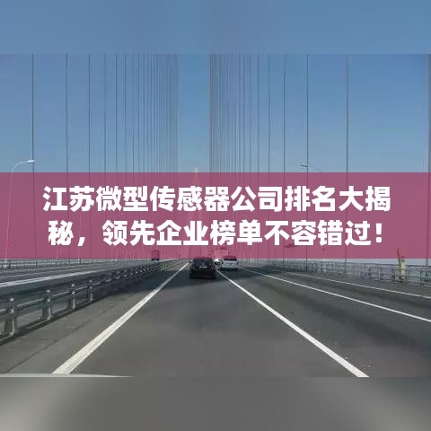 江蘇微型傳感器公司排名大揭秘，領(lǐng)先企業(yè)榜單不容錯(cuò)過！