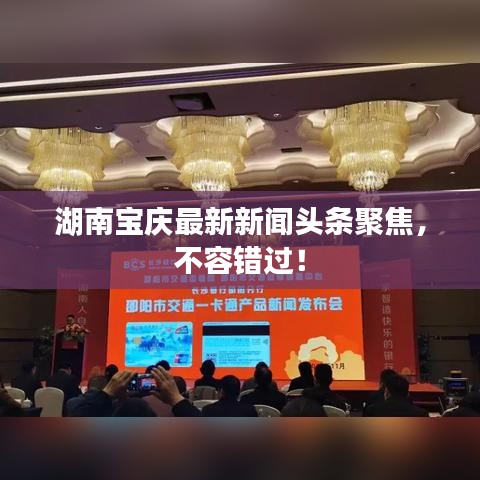 湖南寶慶最新新聞頭條聚焦，不容錯過！