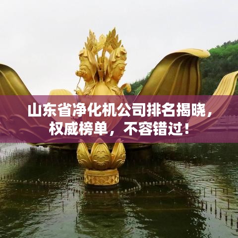 山東省凈化機(jī)公司排名揭曉，權(quán)威榜單，不容錯(cuò)過！