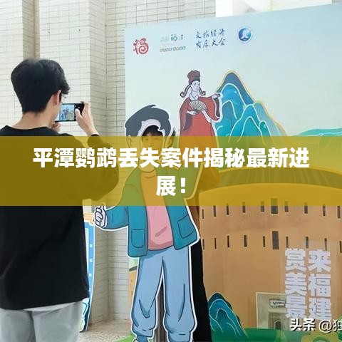 平潭鸚鵡丟失案件揭秘最新進展！