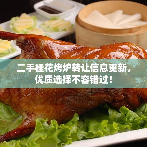 二手桂花烤爐轉(zhuǎn)讓信息更新，優(yōu)質(zhì)選擇不容錯(cuò)過(guò)！