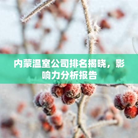 內(nèi)蒙溫室公司排名揭曉，影響力分析報(bào)告