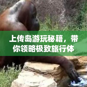 上傳島游玩秘籍，帶你領(lǐng)略極致旅行體驗(yàn)！