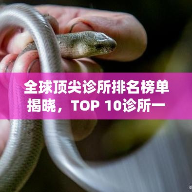 全球頂尖診所排名榜單揭曉，TOP 10診所一覽無(wú)余！