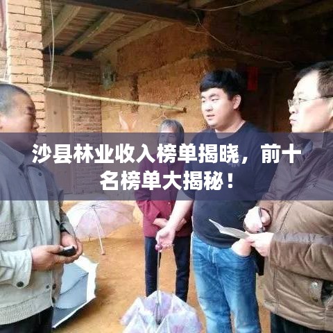 沙縣林業(yè)收入榜單揭曉，前十名榜單大揭秘！