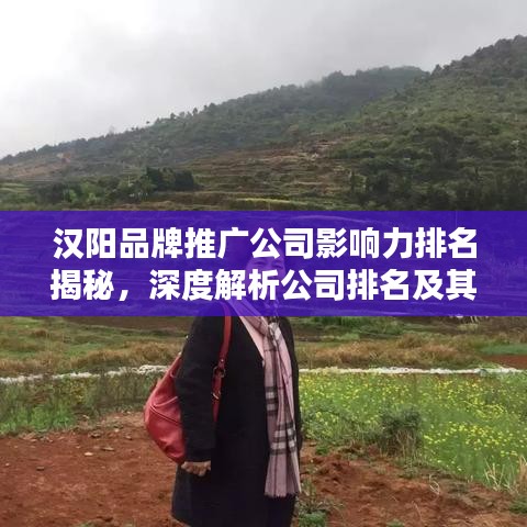 漢陽品牌推廣公司影響力排名揭秘，深度解析公司排名及其影響力