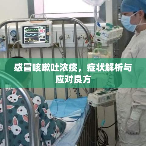 感冒咳嗽吐濃痰，癥狀解析與應(yīng)對(duì)良方